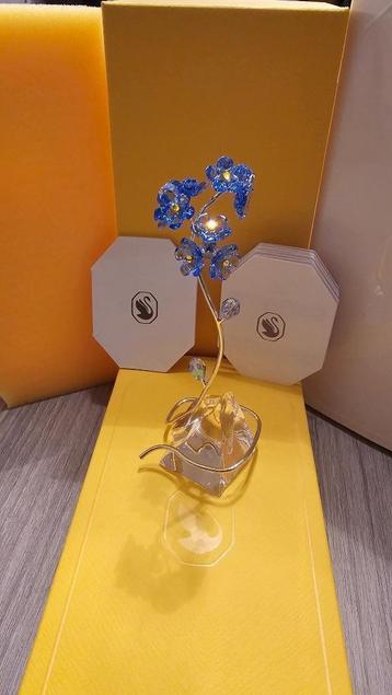 Swarovski Florere Vergeet Mij Nietje! NIEUW! beschikbaar voor biedingen