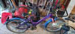 meisjes fiets 20 inch, Fietsen en Brommers, Ophalen, Gebruikt, 20 inch