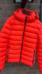 Superdry tussenjas nieuw! fel roze maat 36/38, Ophalen of Verzenden, Zo goed als nieuw, Maat 36 (S), Roze
