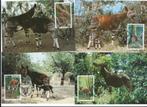 Okapi wwf wnf 4 maxikaarten bedreigde diersoorten Zaire, Postzegels en Munten, Ophalen of Verzenden, Postfris, Dier of Natuur
