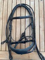 Hoofdstel Anky, Dieren en Toebehoren, Ophalen of Verzenden, Nieuw, Dressuur