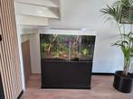 430 liter aquarium te koop, Ophalen, Zo goed als nieuw, Leeg aquarium