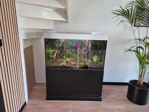 430 liter aquarium te koop, Dieren en Toebehoren, Vissen | Aquaria en Toebehoren, Zo goed als nieuw, Leeg aquarium, Ophalen