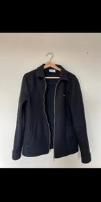 Zwarte Daily Aesthetikz Jas, Ophalen of Verzenden, Zo goed als nieuw, Maat 48/50 (M), Zwart