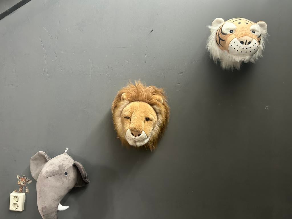 Dierenkoppen voor aan de muur, Ophalen, Zo goed als nieuw, Wanddecoratie