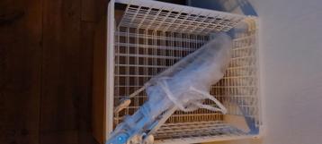 3 witte manden voor Ikea Pax kast - afbeelding 2