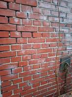 Gebruikte Metselstenen en Vuurvaste Stenen, Ophalen, Gebruikt, Bakstenen