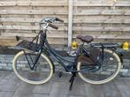 Blauw Batavus Packd 3, Versnellingen, Batavus, 56 cm of meer, Zo goed als nieuw