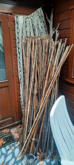 Bamboe Stokken - 180cm   128 stuks, Ophalen of Verzenden