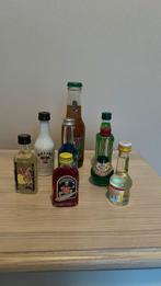 8 mini schnaps inclusief 1 apart biertje, Ophalen of Verzenden, Nieuw, Flesje(s), Overige merken