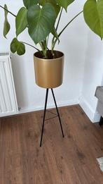 Staande plantenbak, Ophalen, Nieuw