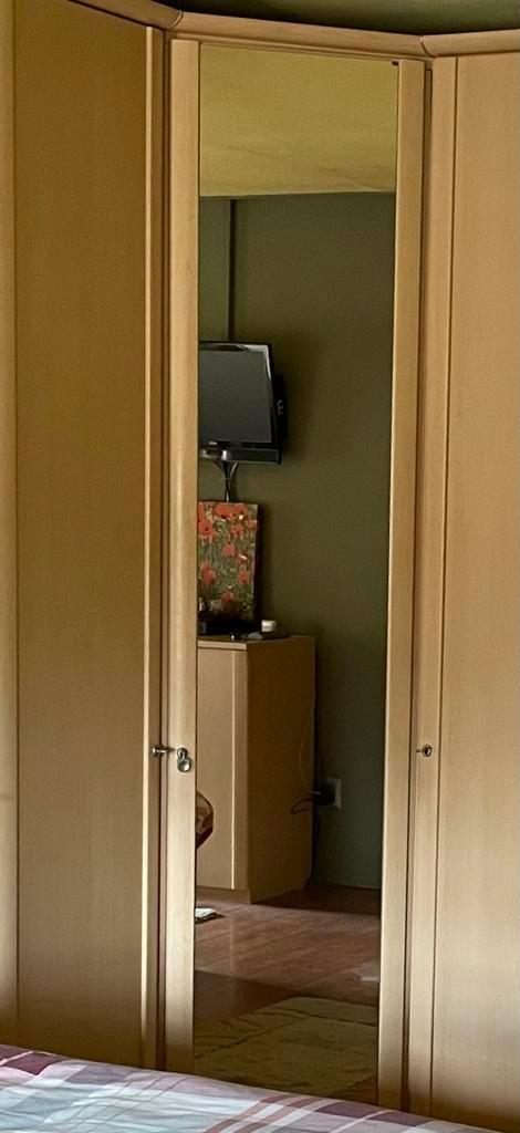 Spiegeldeur, Huis en Inrichting, Woonaccessoires | Spiegels, Zo goed als nieuw, 50 tot 75 cm, 200 cm of meer, Rechthoekig, Ophalen