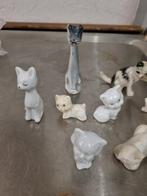 letterbakbeelden poezen verschillende, Ophalen of Verzenden