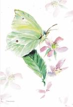 Michelle Dujardin - Nederlandse vlinders – citroenvlinder, Ongelopen, Ophalen of Verzenden, Natuur, 1980 tot heden