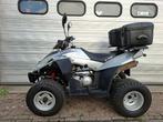 E-Ton Vector ST300 ATV 300cc quad