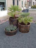 ZATERDAG OPEN!! Bloembakken - set van 3 - eiken -whiskyvaten, Tuin, Minder dan 60 cm, Rond, Nieuw