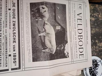 Veldbode uit 1924 beschikbaar voor biedingen