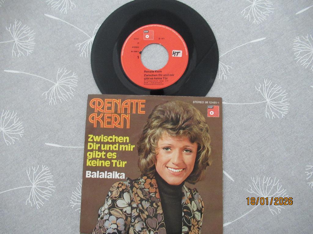 Renate Kern    Zwischen dir und mir gibt es keine Tur, 7 inch, Single, Ophalen of Verzenden, Zo goed als nieuw