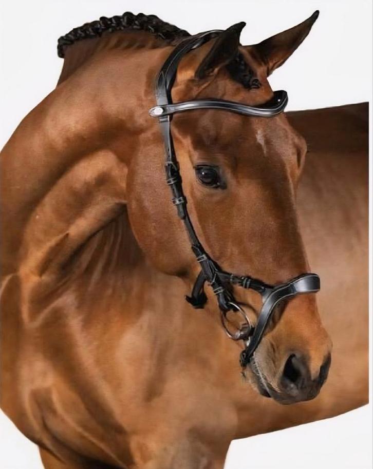 Ps of sweden nirak hoofdstel zwart full, Dieren en Toebehoren, Paarden en Pony's | Hoofdstellen en Tuigage, Dressuur, Verzenden