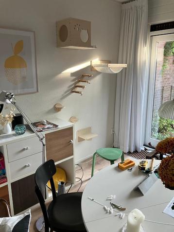 Katten klim installatie beschikbaar voor biedingen
