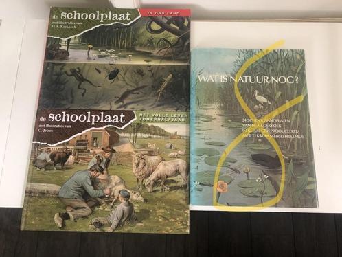 B608 Natuur Boek Schoolplaten Koekkoek Jetses Schoolplaat, Boeken, Natuur, Gelezen, Natuur algemeen, Ophalen of Verzenden