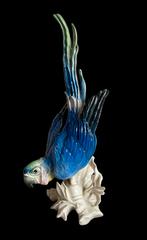 Karl Ens - ara, Ophalen of Verzenden