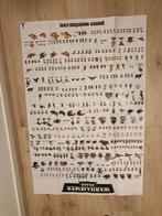 Poster - Warhammer 40k - zie ook mijn andere advertenties, Ophalen of Verzenden, Warhammer, Toebehoren