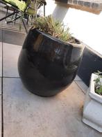 Grote zwarte bloempot tuinpot, Ophalen of Verzenden, Zo goed als nieuw, Rond, 25 tot 40 cm