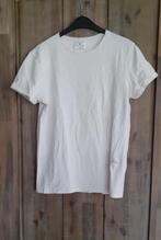 Heren Shirt van Lost Minds Maat S, Kleding | Heren, T-shirts, Ophalen of Verzenden, Zo goed als nieuw, Overige kleuren, Lost Minds