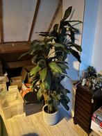 Kunstplant met pot - Realistisch!, Ophalen, Zo goed als nieuw, Binnen
