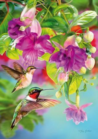 Piatnik - Hummingbirds - 1000 stukjes beschikbaar voor biedingen