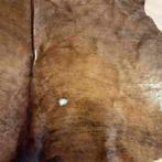 Kalfshuid  donkerbruin 140/130, Gebruikt, Etten-Leur, DJT@dejuistetoon.eu, Ophalen of Verzenden