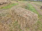 Hooibalen 100 stuks, Dieren en Toebehoren, Dierenvoeding, Ophalen, Vee