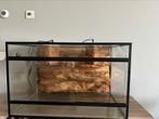 Terrarium reptiel met lampen 80x50x50, Dieren en Toebehoren, Reptielen en Amfibieën | Toebehoren, Ophalen, Gebruikt, Terrarium of Paludarium