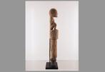 Interessant Kaduma houtsnijwerk Sumba Indonesie (250927-04), Antiek en Kunst, Ophalen of Verzenden