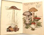 Morton Lange: Paddestoelengids (600 paddestoelen)., Ophalen of Verzenden, Zo goed als nieuw, Bloemen, Planten en Bomen