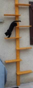 Kattenladder of Loopplank, Dieren en Toebehoren, Ophalen of Verzenden, Nieuw