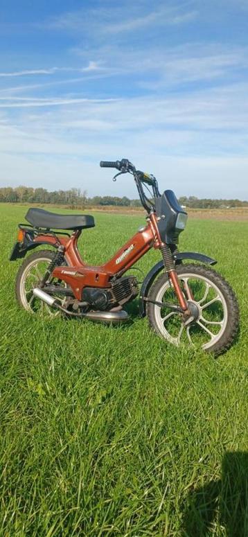 Tomos a35 snor beschikbaar voor biedingen