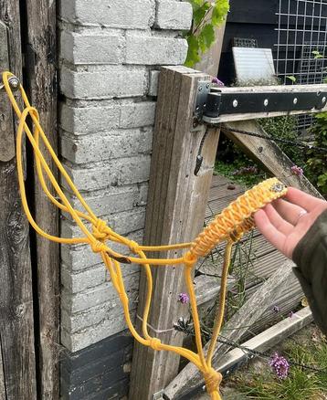 Goudgele touwhalster beschikbaar voor biedingen