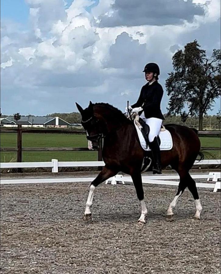 Dressuur instructrice aangeboden, Diensten en Vakmensen, Dieren | Paarden | Verzorging, Oppas en Les