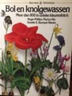 ol en knolgewassen, Ophalen of Verzenden, Zo goed als nieuw, Bloemen, Planten en Bomen