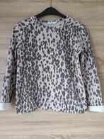 Costes Rebel Trui XS Luipaardprint, Overige kleuren, Ophalen of Verzenden, Maat 34 (XS) of kleiner, Gedragen