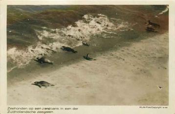 (301-424-037) Nederland Zeehonden beschikbaar voor biedingen