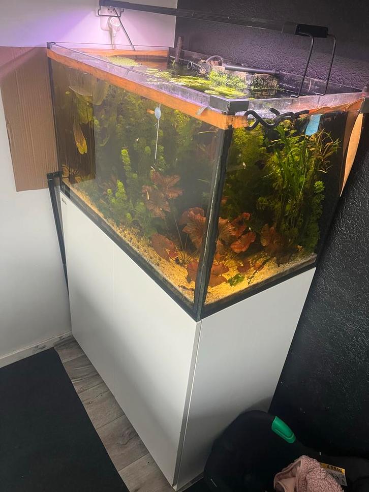 RedSea Reefer250 aquarium!, Dieren en Toebehoren, Vissen | Aquaria en Toebehoren, Gebruikt, Leeg aquarium, Ophalen