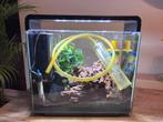 Aquarium, Dieren en Toebehoren, Vissen | Aquaria en Toebehoren, Ophalen, Zo goed als nieuw, Leeg aquarium