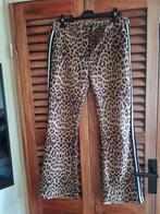 Suedine broek legging flair maat m l, Kleding | Dames, Broeken en Pantalons, Zwart, Maat 42/44 (L), Ophalen of Verzenden, Lang