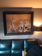 Mooi cheetah schilderij, Ophalen, Zo goed als nieuw, Schilderij, 75 cm of meer