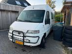 Possl bus camper Peugeot 1998 Wit, Overige carrosserieën, Wit, Overige kleuren, Particulier