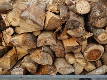 Haardhout --- DROOG beschikbaar voor biedingen