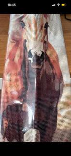 Daimond painting groot, nieuw, Ophalen of Verzenden, Zo goed als nieuw, Knutselwerk